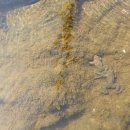 남산평기리 이미지