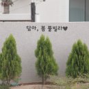 담아봄 풀빌라 | 경주풀빌라펜션 담아봄, 가족여행 숙소 키즈펜션추천 만족 후기