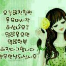 17길 Daum카페
