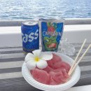 돌고래카 | 🐬 괌 블루 돌고래투어 완벽 가이드 | 괌 자유여행 돌고래투어 예약부터 후기까지 실전 총정리