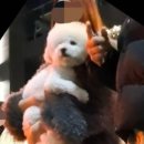 정치05 이미지