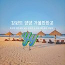 죽도해수욕장 야영장 이미지