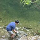 풍전가든 이미지