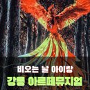 피아노가 흐르는 서양미술사 | 강릉 아르떼뮤지엄, 비오는날 실내 가볼만한곳,실시간 혼잡도 확인까지