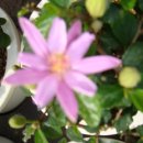 대주농장 이미지