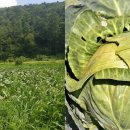 카페옆집 이미지