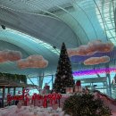 인천공항 제2터미널 마티나골드라운지 이용후기 &amp;롱샴가방,진에어스트레치석리뷰