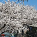 연이청송 | 세상에서 말하는 두 가지 복(福), 다산 정약용