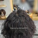 삶에 자연을 채우다 이미지