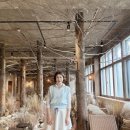 카페재생 | 폐교가 이렇게 변했다고?밀양 복합 재생문화센터 & 열두달 카페 감성 후기