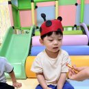 🐞 꼬미꼬미오감 - 무당벌레 🐞 이미지