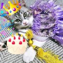 양구동물병원 이미지