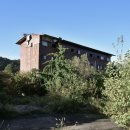 일동하와이 이미지