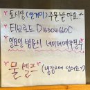 원조꼬리치는돼지 이미지