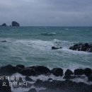 떠나가는 배 - 박인수 테너 (양중해 시,변훈 곡) 이미지