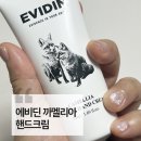 까멜리아 | 에비딘 까멜리아 핸드크림 솔직후기