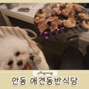 안기천로 | 안동 애견동반식당 , 안동뒷고기푸드 내돈내먹 솔직 후기