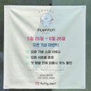 플러플리 FLUFFLY | [평택고덕/함박산공원]플러플리 FLUFFLY에서 목욕, 애견미용 맡기기 (내돈내산)