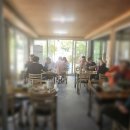 목도민물고기 이미지