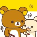 오션파라다이스 이미지