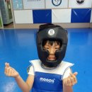 차돌체육관 이미지