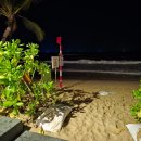 프린세스호텔 | 푸꾸옥 여행, 두짓 프린세스 문라이즈 비치 리조트 이용 후기 - 푸꾸옥 호텔 추천