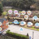 콩밭매는 강아지 이미지