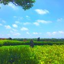 (주)라온골프 이미지