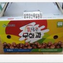 육일농장 이미지