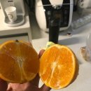 월광농장 이미지