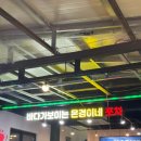 마차포차 | 속초 포장마차거리 은경이네 포차 내돈내산 솔직후기