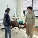 동부건강생활지원센터 | 강릉시, 어르신 건강관리도 스마트하게 챙긴다