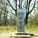 경북모사 이미지