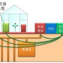 한전농장 이미지