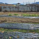 우원부동산공인중개사사무소 이미지