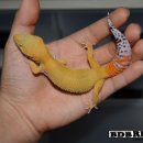 (주)JMG 이미지