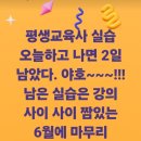 [6월] 평생교육사 현장실습 이미지