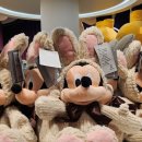 제시엘리스 주식회사 | 대전 디즈니 스토어 현대 프리미엄 아울렛 | 방문 후기 평일 저녁 가격 제품 포토존