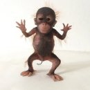 [서부] 하모니카 | 뮤즈야 가지마