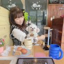 타미드로잉