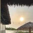 코스타리몬 이미지