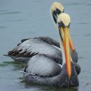 택시승강장 이미지