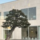 쿱스토어광주 - 의정부시 용민로182번길 36-13 | 담양 카페 밀 저녁에 다녀왔어요