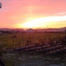 커피하우스117 이미지