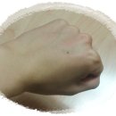 호박피씨 이미지