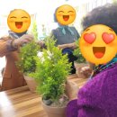 성암 농장 이미지