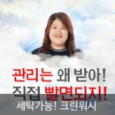 크린워시 이미지