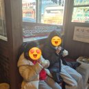 할매손푸드 정관점 | 부산 기장 맛집 정관왕감자탕 점심 솥밥 무료, 감자탕 등갈비 완벽 코스