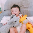한올두올뜨개공방 | [가꿈함뜨] 애착인형 함뜨합니다.