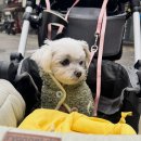 동광로19길 17-16 | 3개월치 밀린 일상